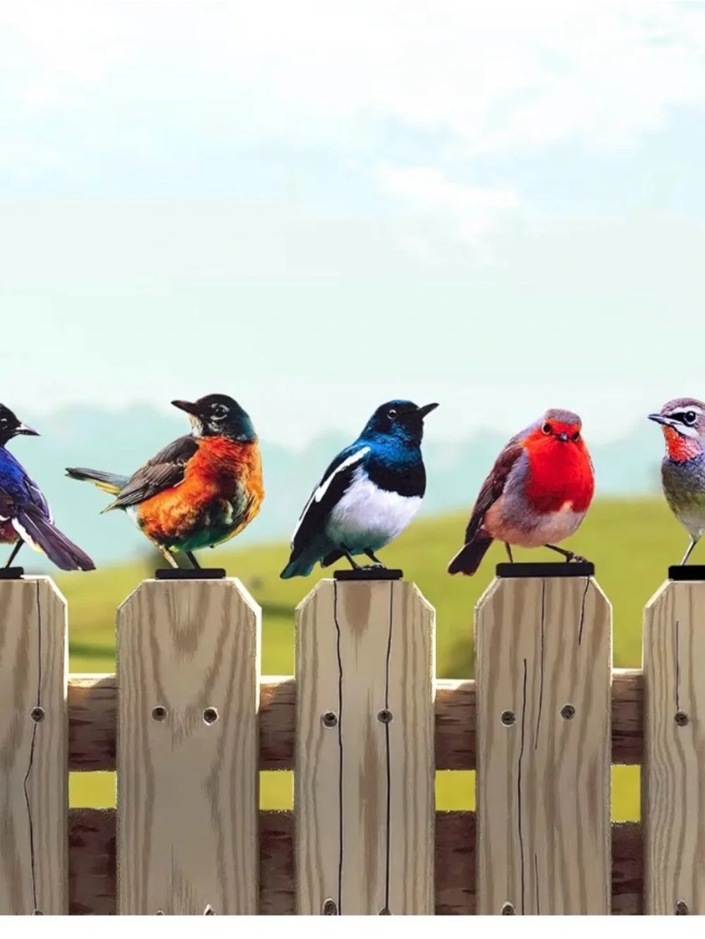 Colorful Decorative Bird Fence Stakes - Assorted Colors